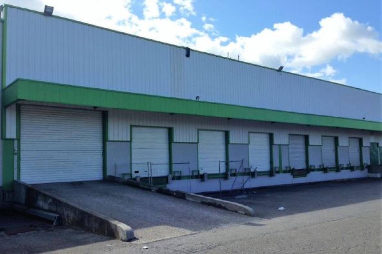 Local d'activité Genas 1199m² Location local d'activité Genas Rhône OLACT2308149 7